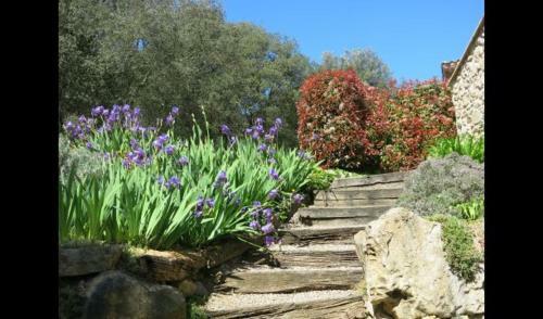 Les Planes D'hostoles Villa Sleeps 14 With Pool