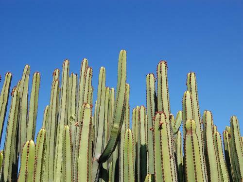 Villa Albatross By Villagrancanaria