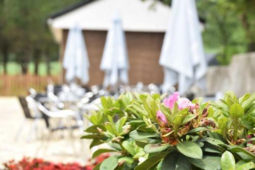 Hotel Virxe Da O