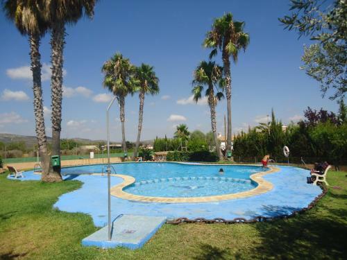 Mediterraneo 2005 Family Complex Lek