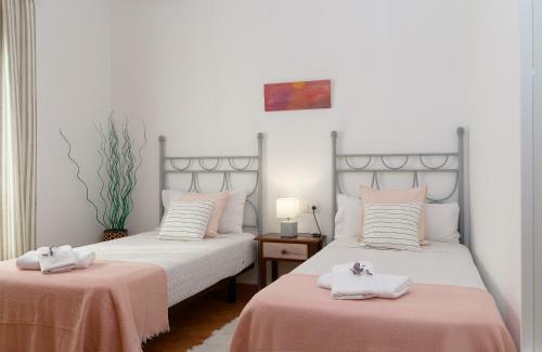 Vista Lobos Entre Volcanes Y Oceano
