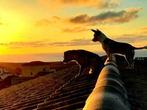 Apartamento Agriturismo El Bounty1