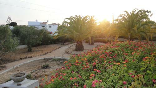 Villa El Alcazar