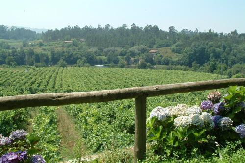 Hostal Quinta Do Burgo - Turismo Rural