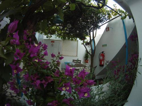 Ahoy Porto Covo Hostel