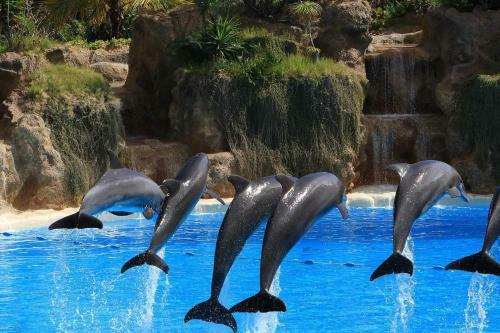 D�plex Deluxe La Quinta Sunset