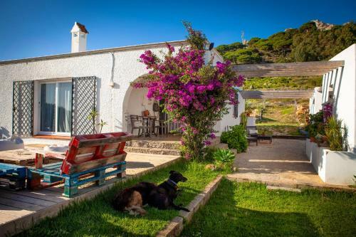 Albergue Wild House Tarifa
