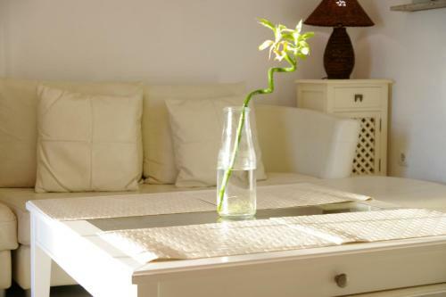 Livingtarifa Apartamento Agaporni