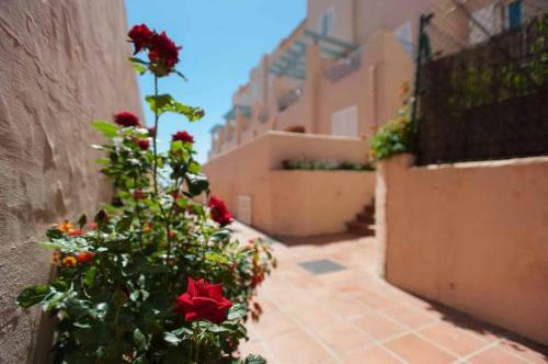 Livingtarifa Apartamento La Brisa