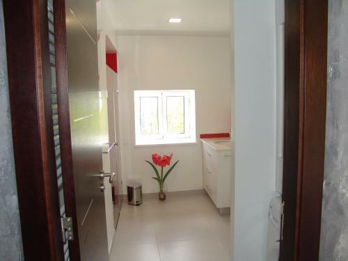 Apartamento Quinta De Santa Marinha