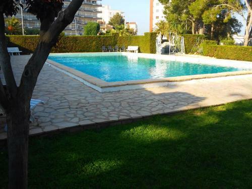 Apartamento Doree 425