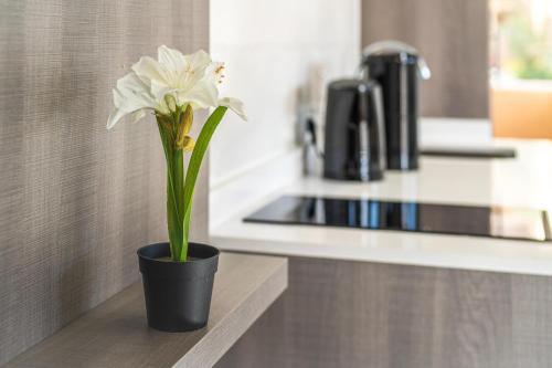 Ferrera Luxe Apartmento 702