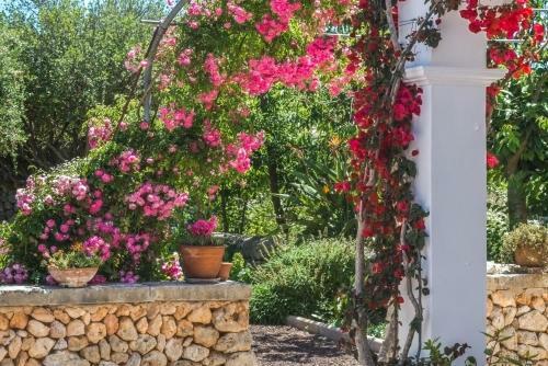Villa Finca Son Martorellet