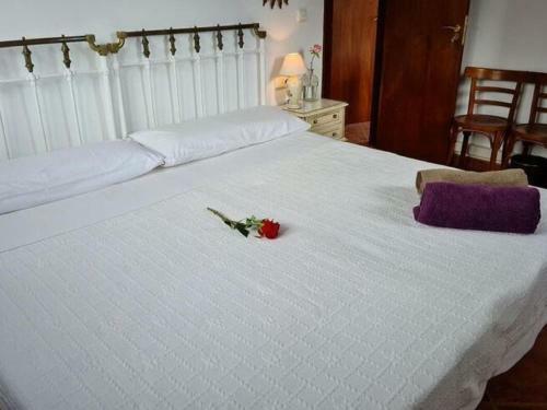Delightful Villa In Villamena With Private Pool