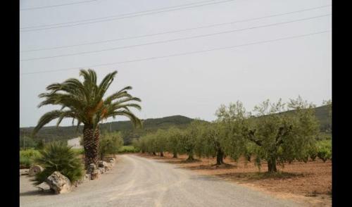 Sant Pere Molanta Apartment Sleeps 4 With Pool