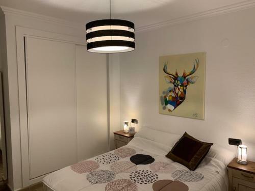-- Front Line -- Apartments In Playa Flamenca