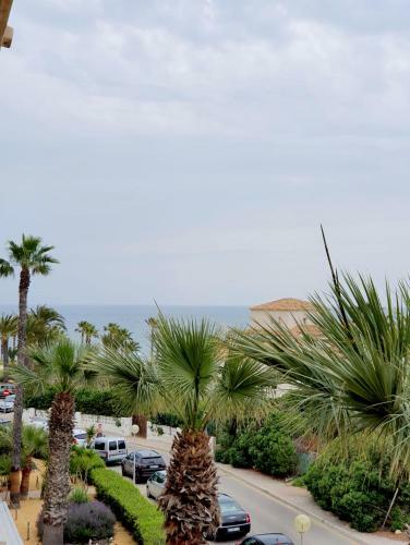 -- Front Line -- Apartments In Playa Flamenca