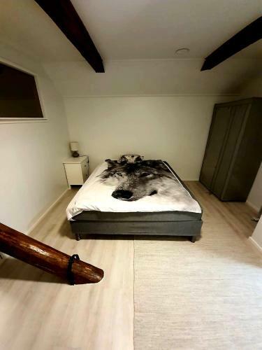 Center Apartment With Sauna In The Old Town