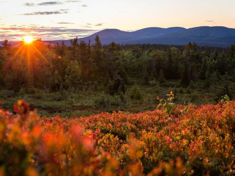 Holiday Home Sarah Dreamhome In Lapland