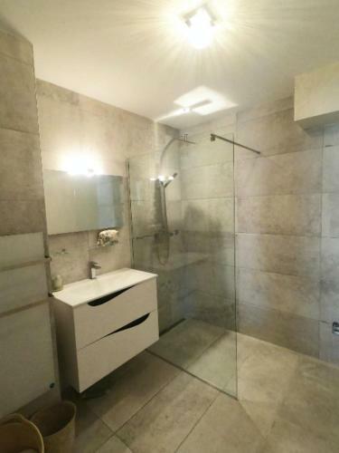 Beautiful Apartment With Swimming Pool In Antibes