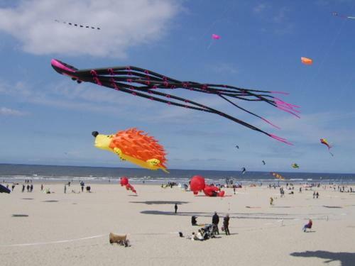 Apartamento Appart 2-4 Pers Berck-plage Hyper-centre