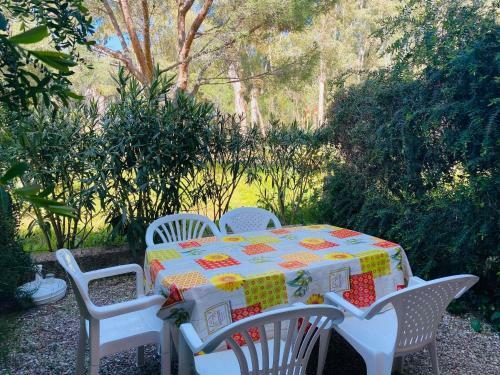 Apartamento Calvi - Studio Proche de La Plage - Studio F7