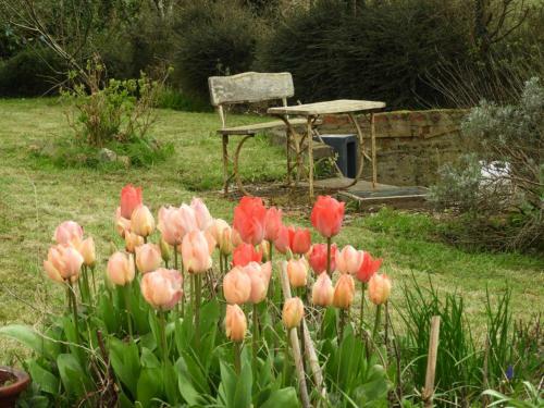 Bed & Breakfast Au Domaine de Sophie