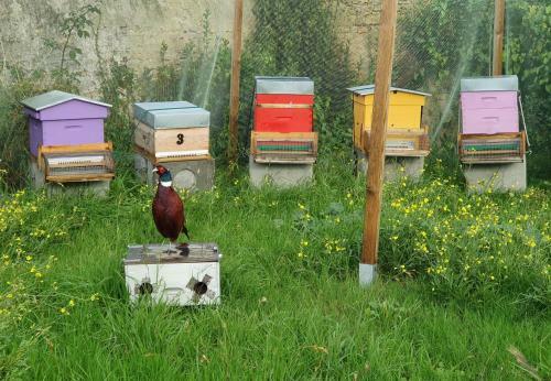 Agroturismo Les 5 R�ches