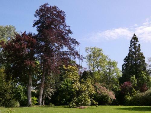 Hostal Chateau de Hi�ville