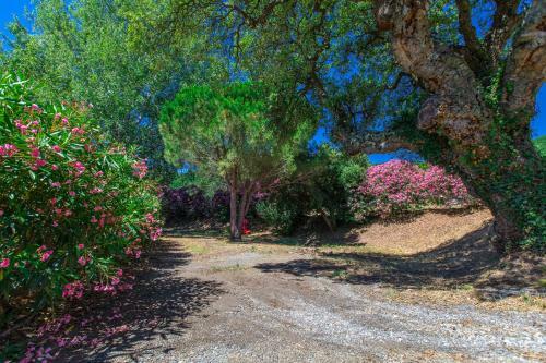 Domaine De Miremer