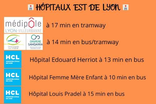 Apartamento Le Nid Lyonnais - Montchat