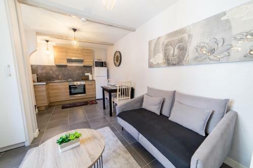 Apartamento Appart'h�tel La Maisonnette Melunaise