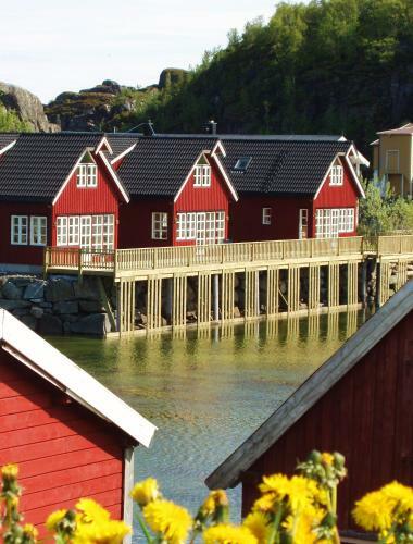 Lofoten Rorbusuiter