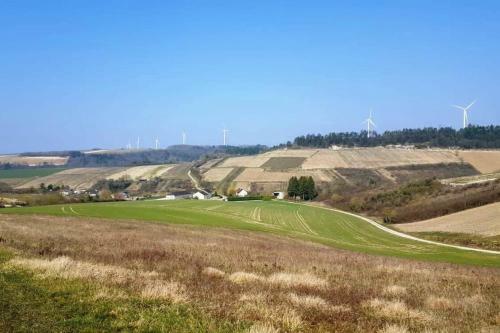 Crazy Villa In Burgundy - 2h From Paris !
