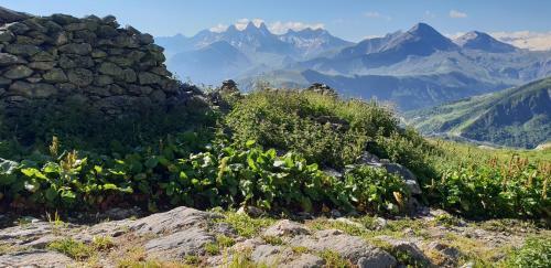 Apartamento Location Vue Montagne
