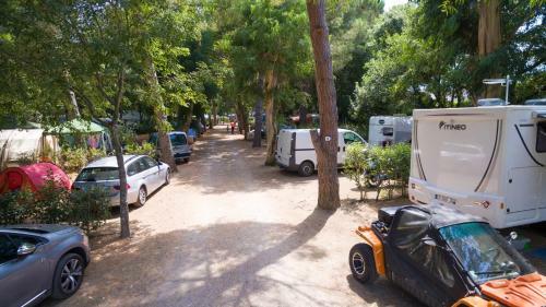 Camping Les Micocouliers