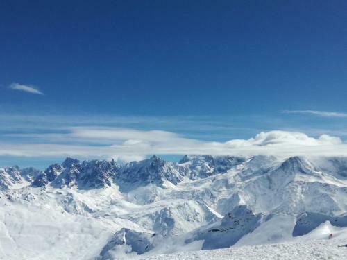 Chalet Beau Tanik 8 Pers Aux Carroz (Chbot)