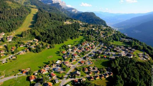 Apartamento Duplex 8 Pers Centre Des Carroz (Sl404)