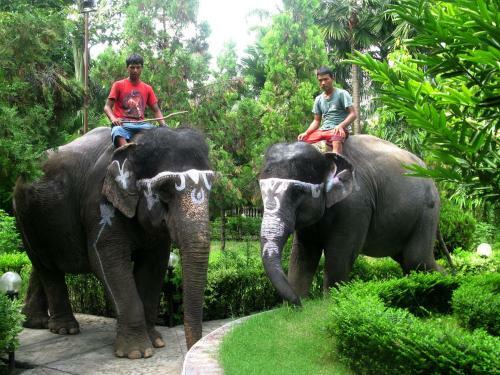 Hotel Jungle Safari Resort P. Ltd.