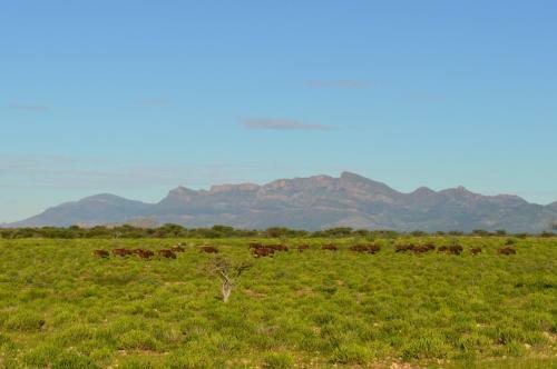 Agroturismo Onduruquea Guestfarm