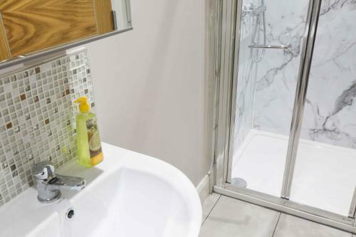 Belfast Serviced Apartments - Eglantine