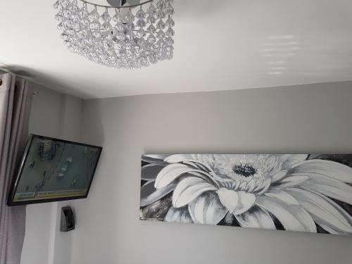Modern 1-bed Apartment In Blackpool