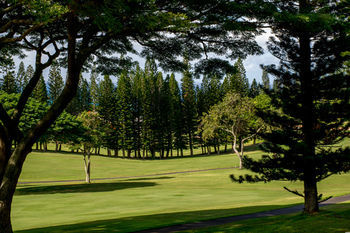 Hotel The Kapalua Villas