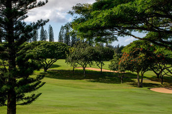 Hotel The Kapalua Villas