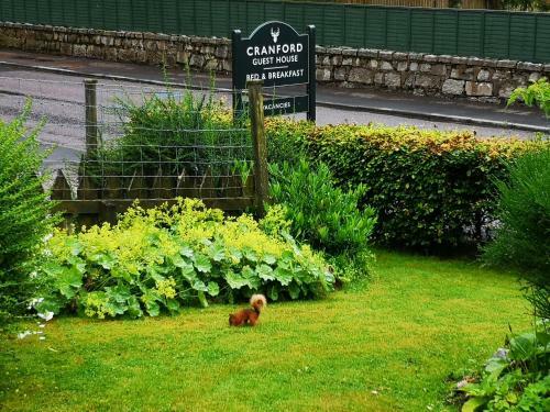 Bed & Breakfast Cranford Guest House