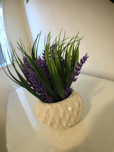 Apartamento Castle Terrace (B3 R4)