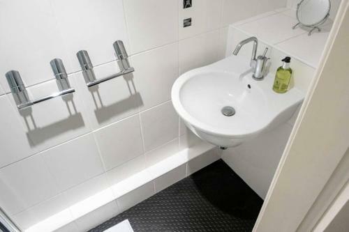 ? Central, Spacious Apartment Close To University?