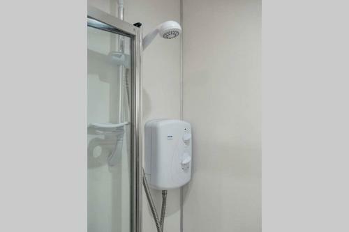 ? Central, Spacious Apartment Close To University?