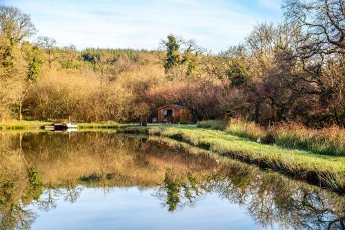 The Tree House - Eco-friendly, Back To Nature Experience