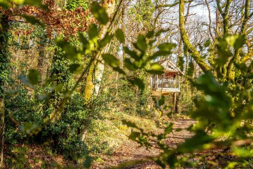 The Tree House - Eco-friendly, Back To Nature Experience